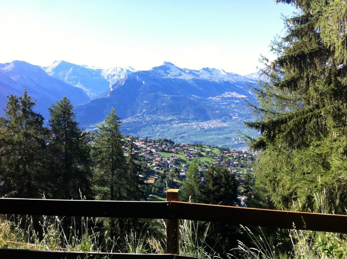 Greppon Blanc A2 Nendaz Exterior foto